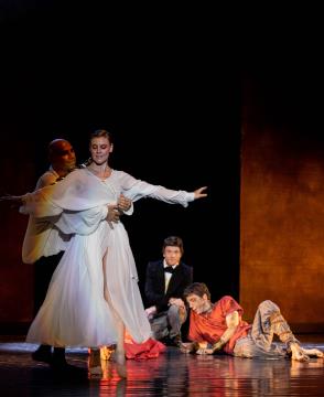 Krst pri Savici, Avditorij-5